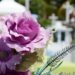 Adequate funeral cover is vital for a dignified send off