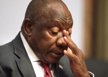 Cyril Ramaphosa broke the law – Phala Phala Farmgate report